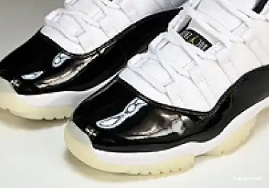 Hyperoad “DMP” Jordan Air 11 0615